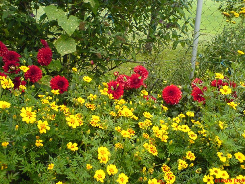 Heilmasseurin Mundelfing Salzburg