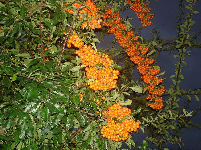 Heilmasseurin Mundelfing Salzburg